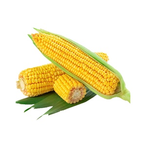 Corn Cobs